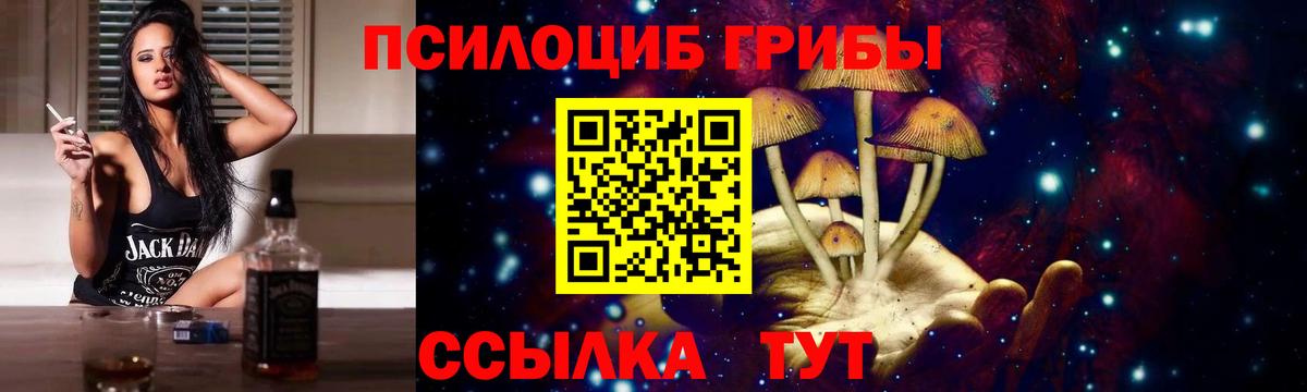 Димитровград  Псилоцибиновые грибы мицелий  Псилоцибиновые грибы MAGIC MUSHROOMS  Вход с VPN 